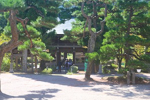 小学校三年生の市内めぐり